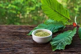 The Controversial Rise of Kratom